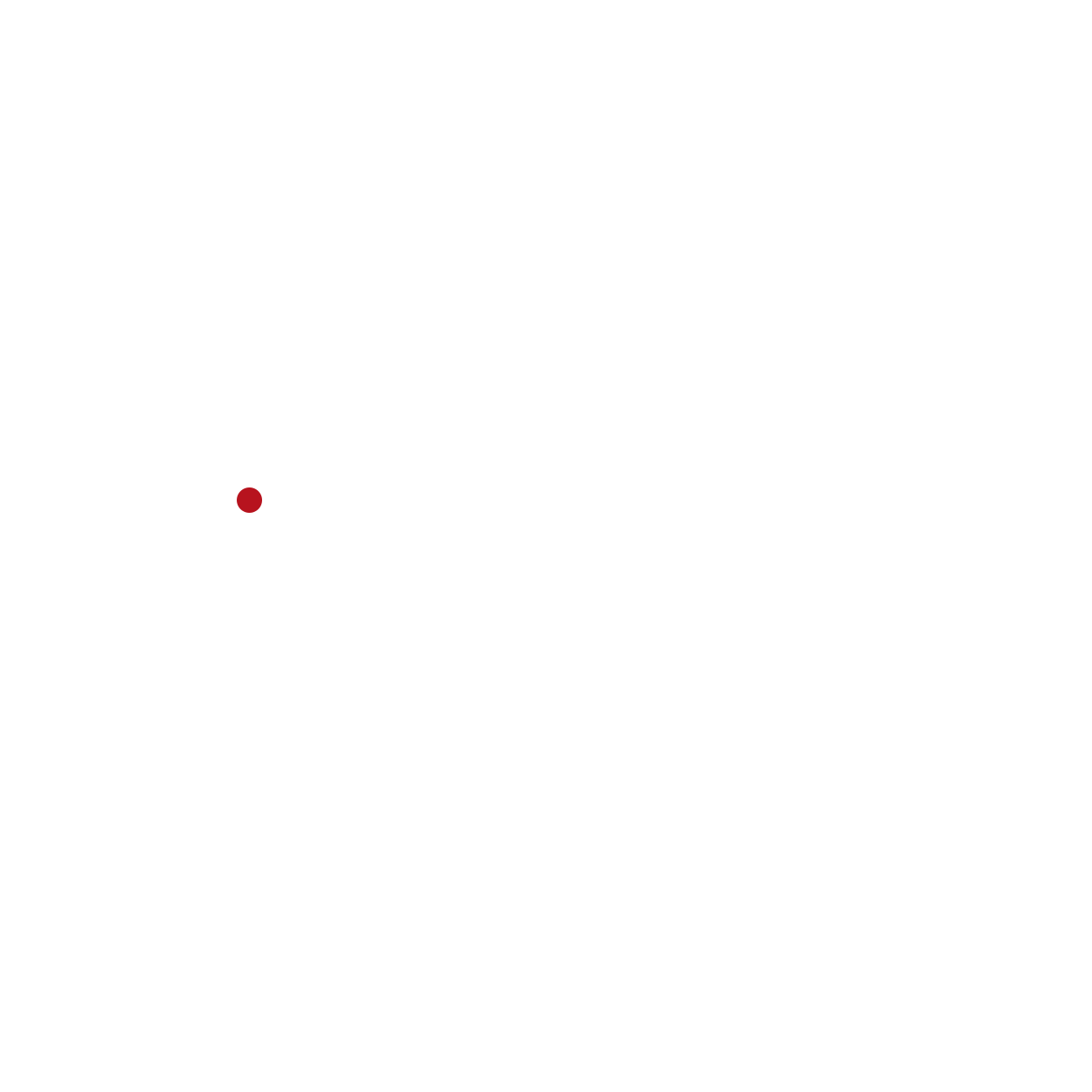 Logo realia